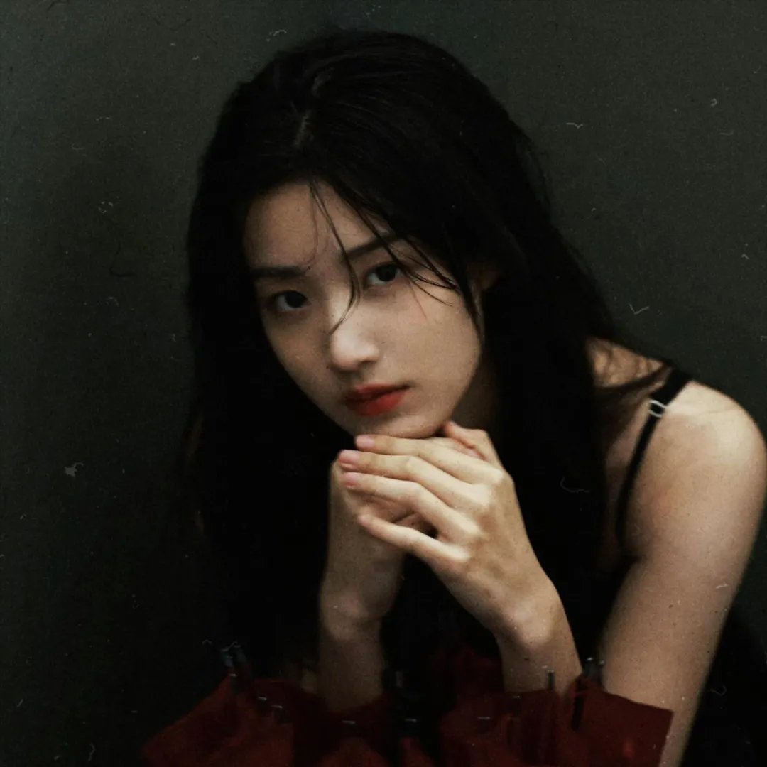 木材宝藏狗